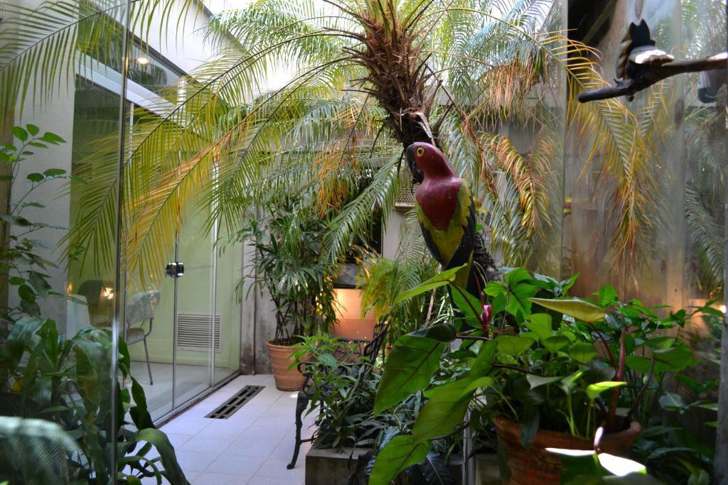 Hotel Amalfi Asuncion Ngoại thất bức ảnh